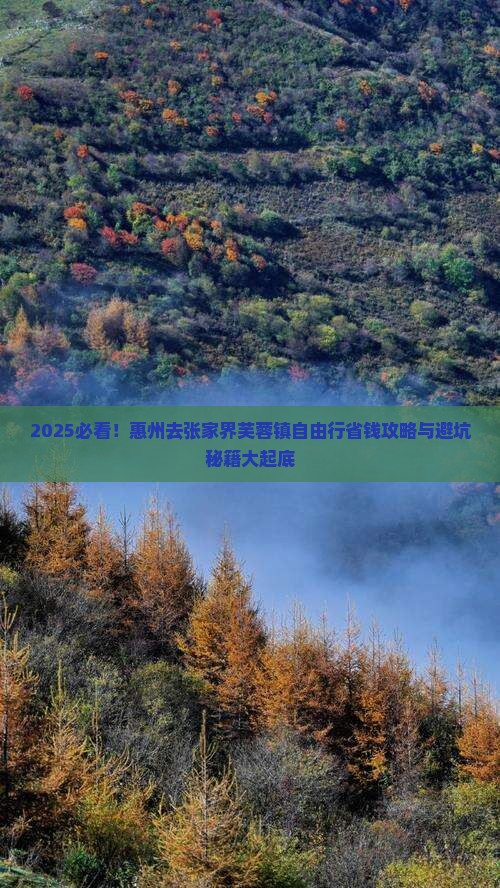 惠州去张家界芙蓉镇自由行