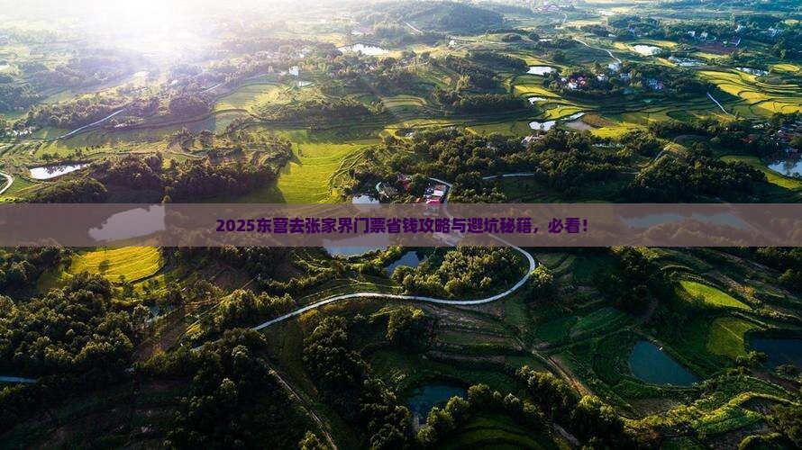东营去张家界门票