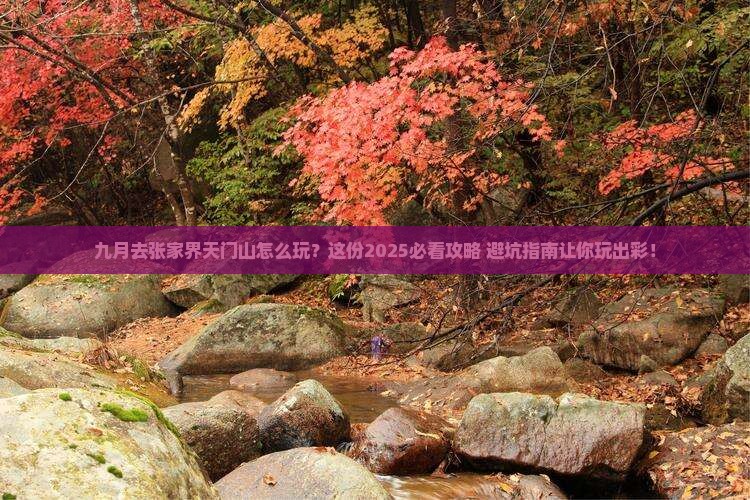 九月到张家界天门山哪里玩
