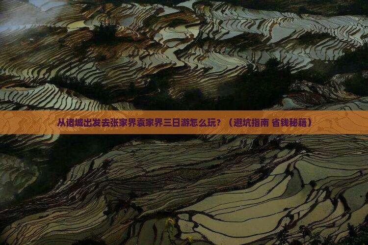 诸城去张家界袁家界三日游