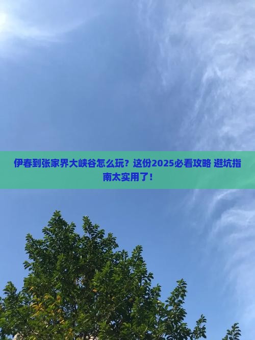 伊春到张家界大峡谷旅行社