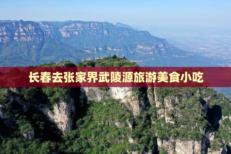 长春去张家界武陵源旅游小吃