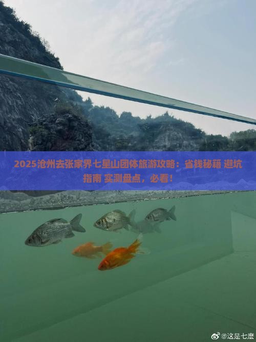 沧州去张家界七星山团体旅游 沧州去张家界七星山团体旅游