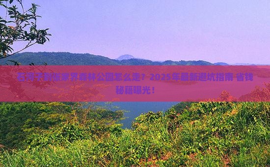 石河子到张家界森林公园攻略