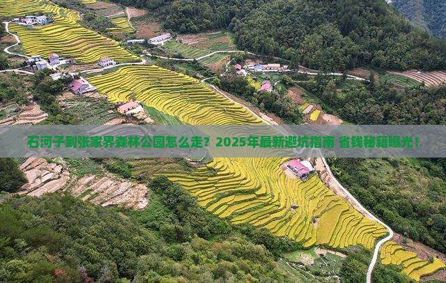 石河子到张家界森林公园攻略