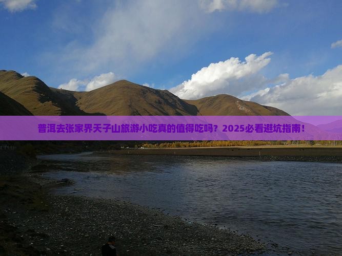 普洱去张家界天子山旅游小吃