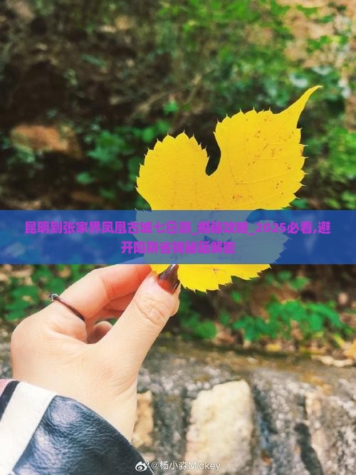 昆明到张家界凤凰古城七日游