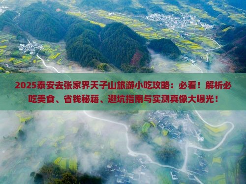 泰安去张家界天子山旅游小吃