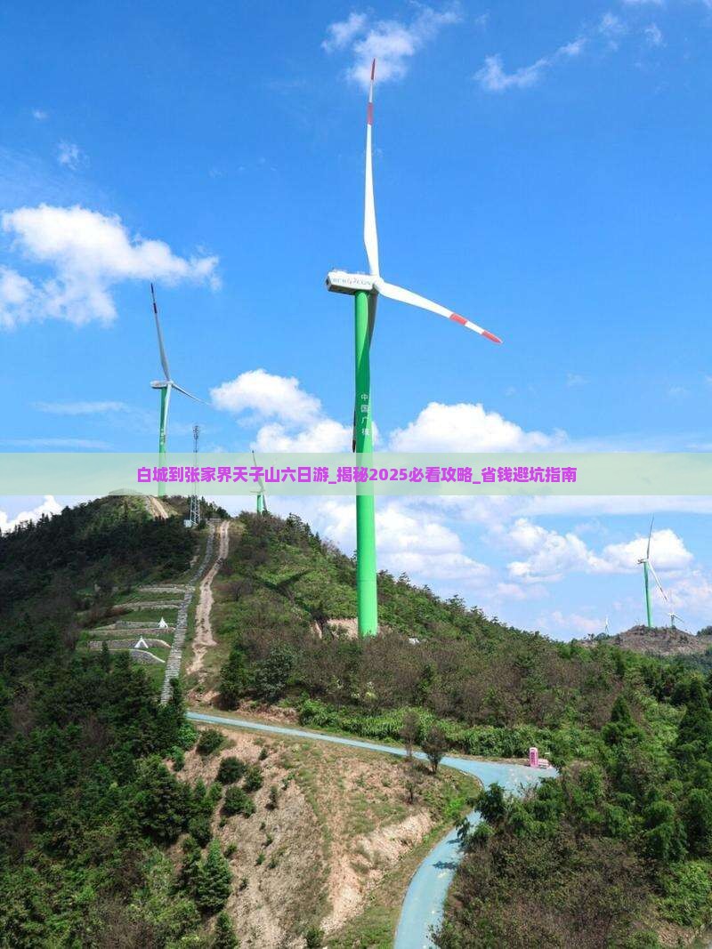 白城到张家界天子山六日游