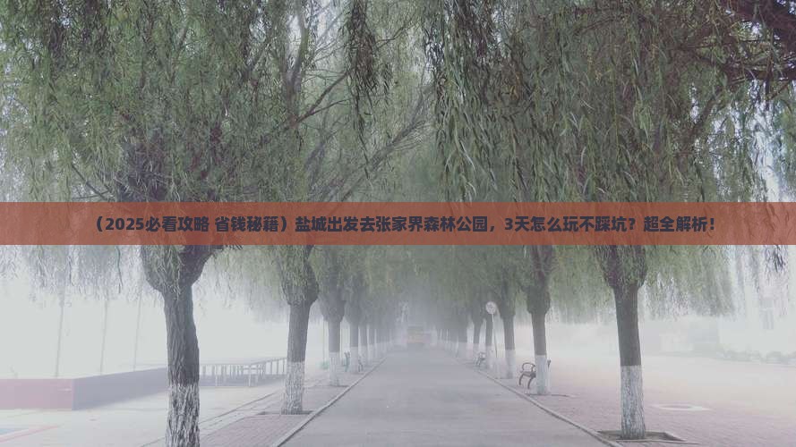 盐城到张家界森林公园哪里玩