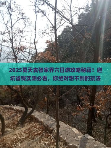夏天去张家界六日游