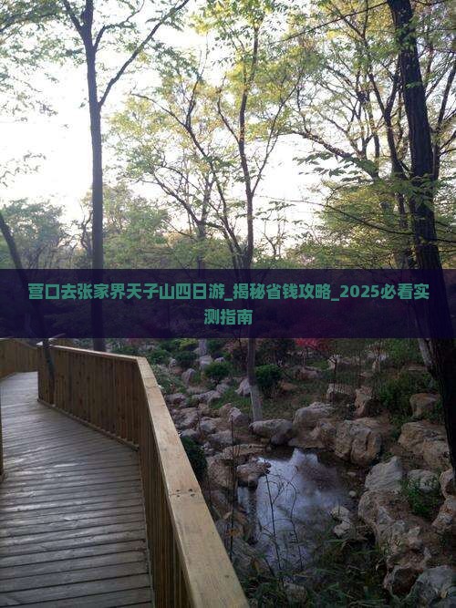 营口去张家界天子山四日游