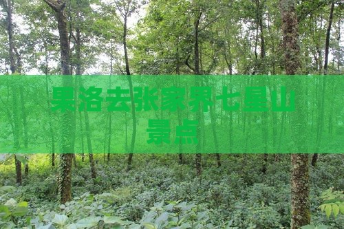 果洛去张家界七星山景点