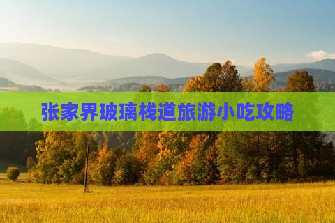 巴中去张家界玻璃栈道旅游小吃