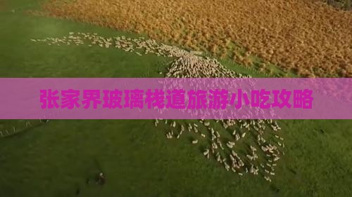 巴中去张家界玻璃栈道旅游小吃