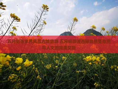 五月到张家界凤凰古城旅游