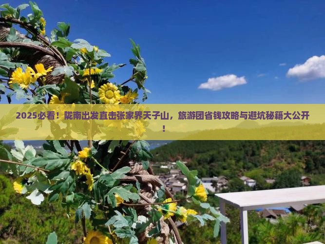 陇南到张家界天子山大型旅游团