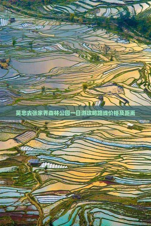 吴忠去张家界森林公园一日