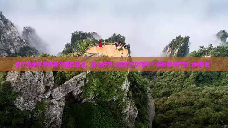 遂宁到张家界森林公园自由团