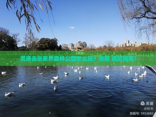 贵港去张家界森林公园景点