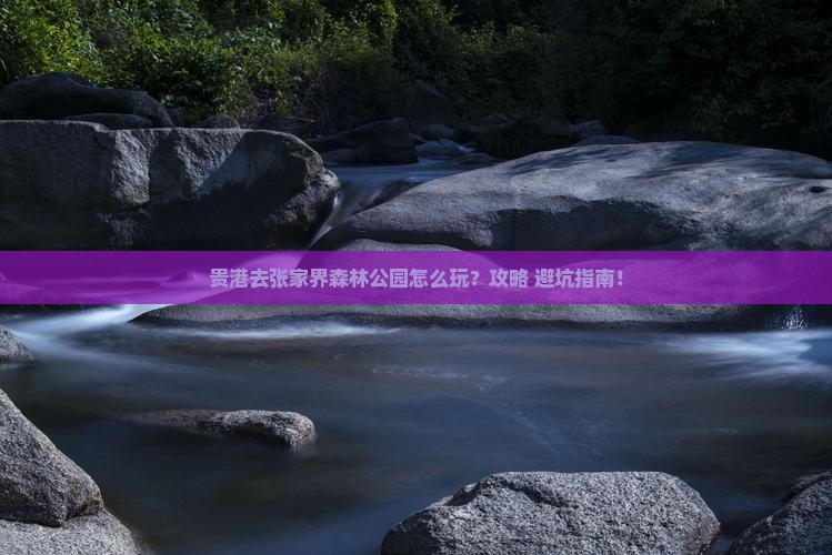 贵港去张家界森林公园景点