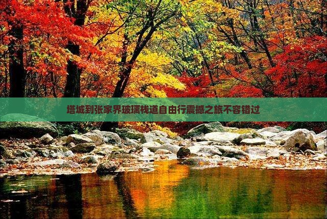 塔城到张家界玻璃栈道自由行