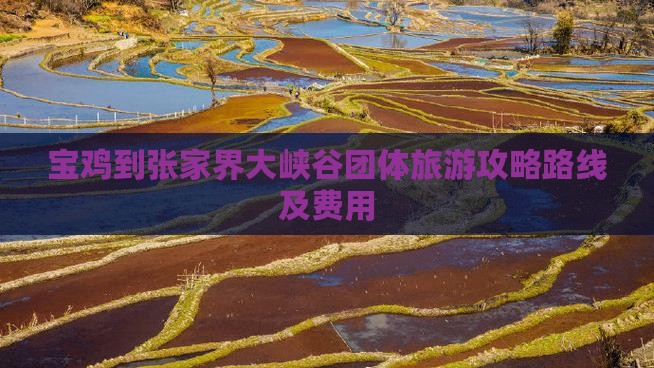 宝鸡到张家界大峡谷团体旅游
