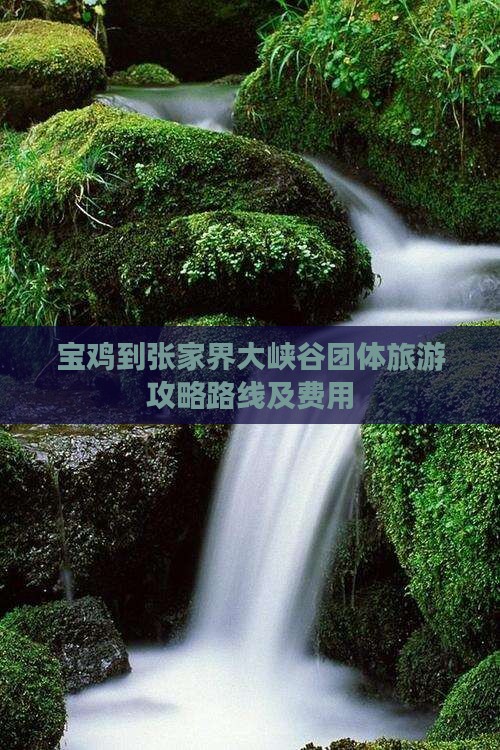 宝鸡到张家界大峡谷团体旅游