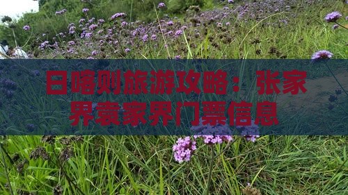 日喀则去张家界袁家界门票