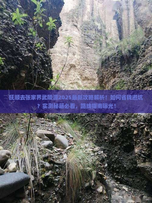 抚顺去张家界武陵源攻略