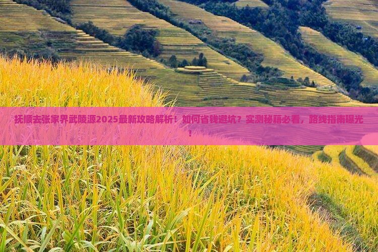 抚顺去张家界武陵源攻略