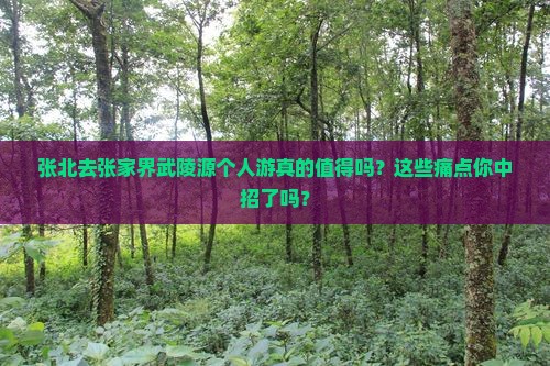 张北去张家界武陵源个人游