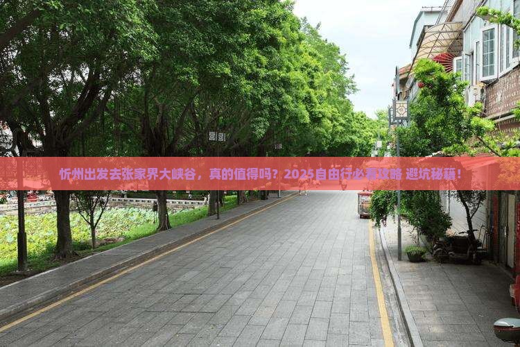 忻州到张家界大峡谷自由行