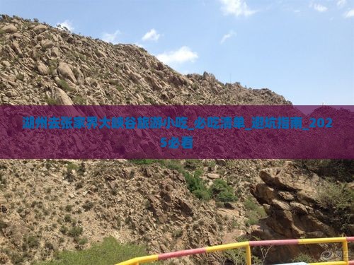 湖州去张家界大峡谷旅游小吃