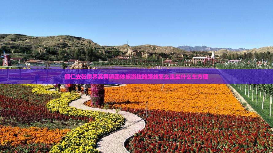 铜仁去张家界芙蓉镇团体旅游