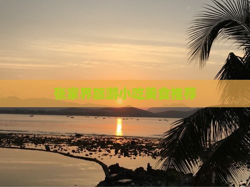 那曲去张家界旅游小吃