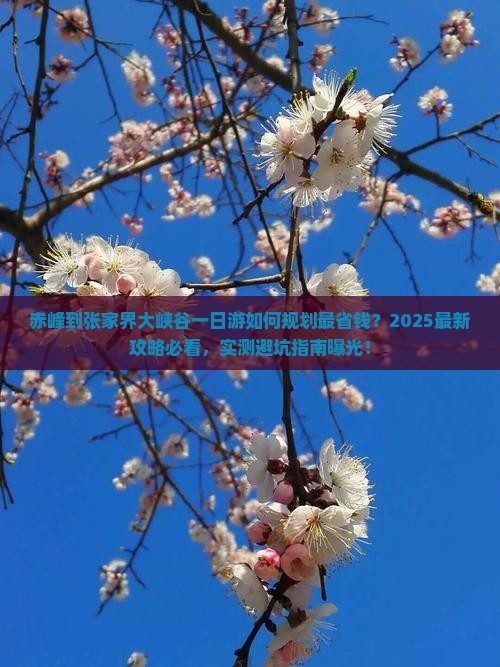 赤峰到张家界大峡谷一日