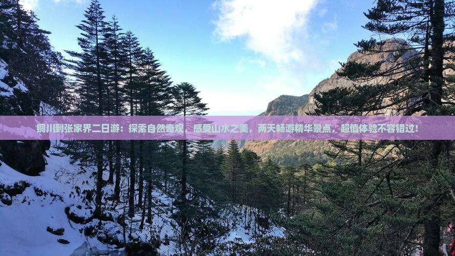 铜川到张家界二日游