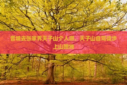 晋城去张家界天子山个人游