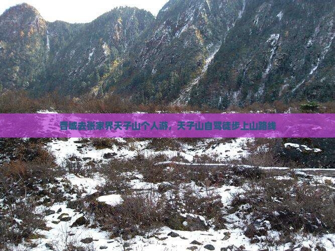 晋城去张家界天子山个人游