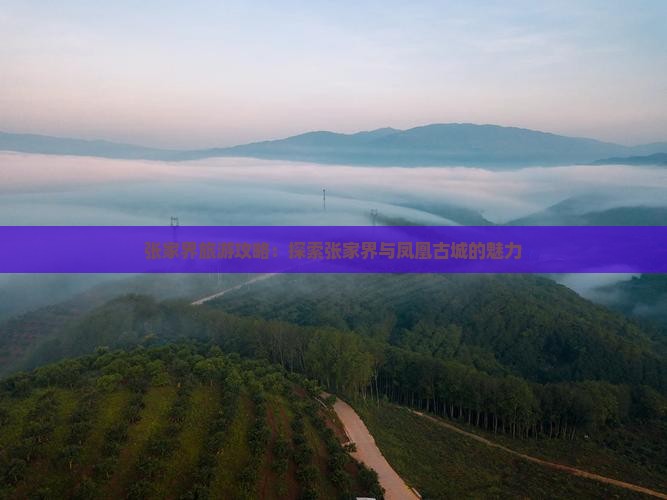张家界到张家界凤凰古城旅游