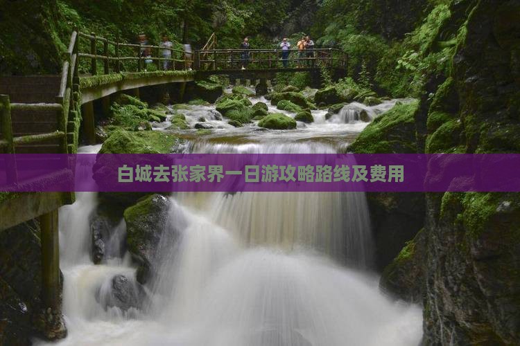 白城去张家界一日