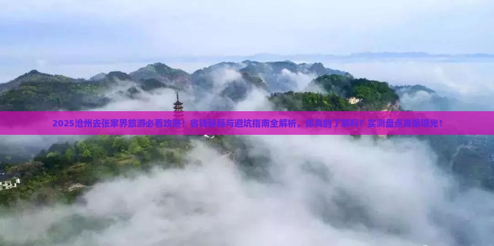 沧州去张家界旅游