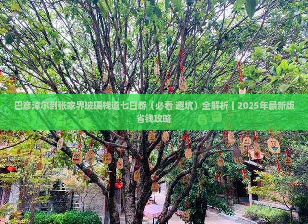 巴彦倬尔到张家界玻璃栈道七日游