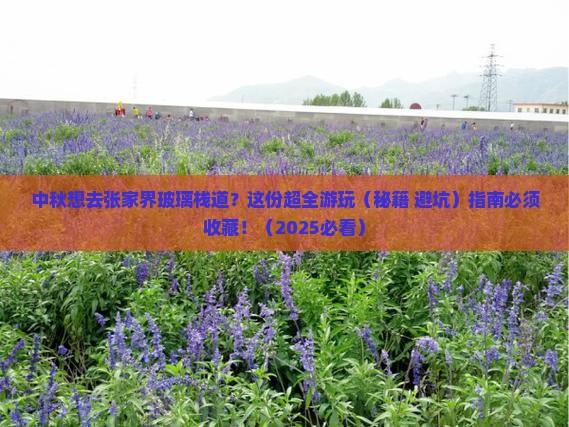 中秋节去张家界玻璃栈道四日游