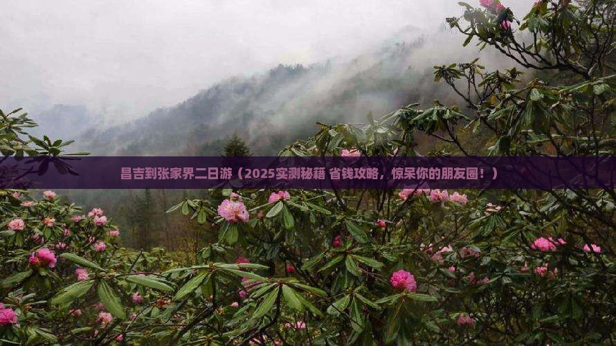 昌吉到张家界二日游