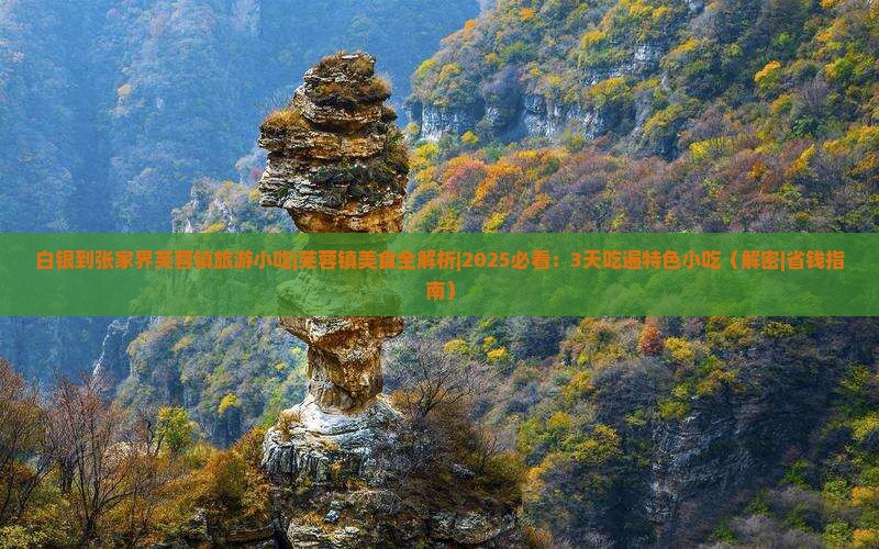 白银到张家界芙蓉镇旅游小吃