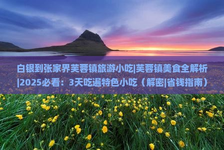 白银到张家界芙蓉镇旅游小吃
