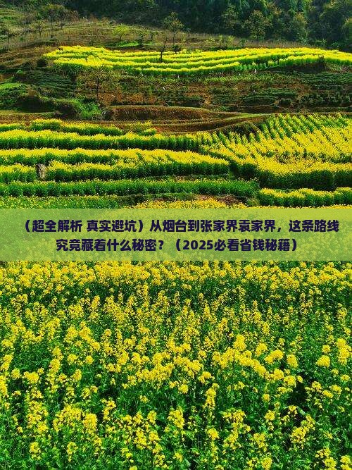 烟台去张家界袁家界旅游