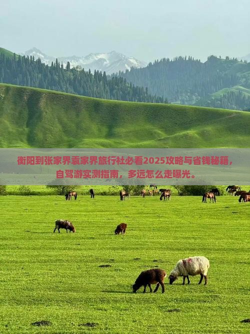 衡阳到张家界袁家界旅行社
